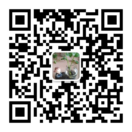 Scan Our Wechat